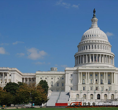 Government Services